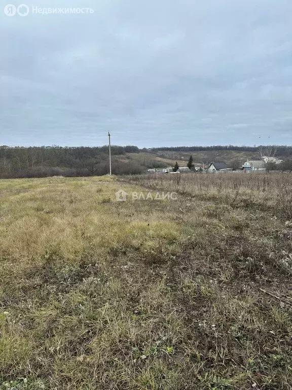 Участок в Белгородский район, Крутологское сельское поселение, село ... - Фото 2