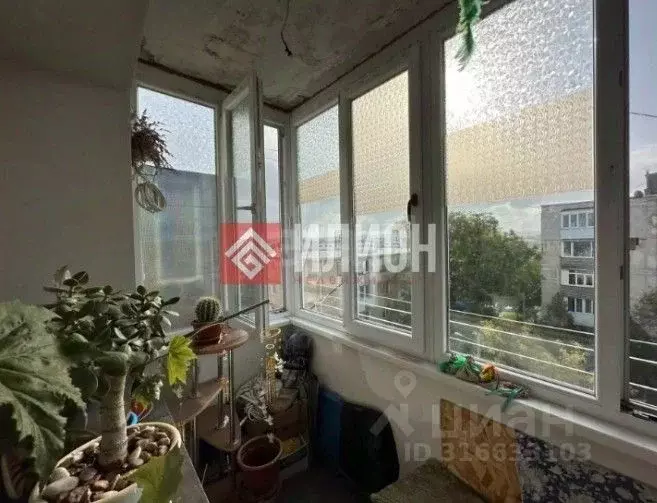 3-к кв. Севастополь ул. Батумская, 34 (62.0 м) - Фото 0