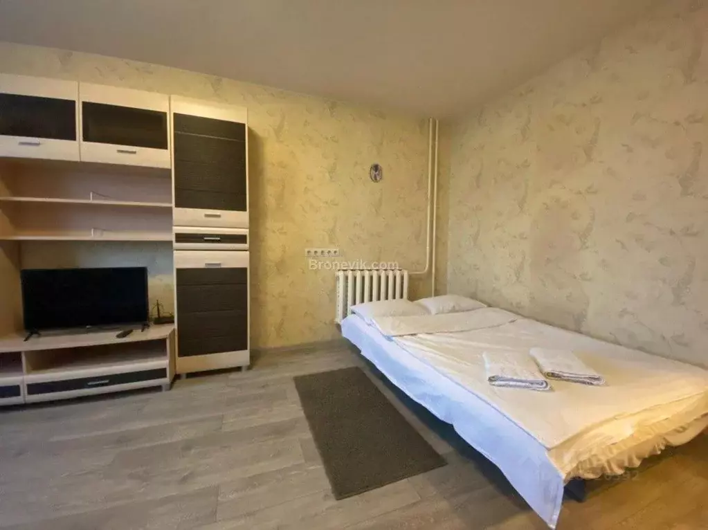 1-к кв. Московская область, Пушкино Дзержинец мкр, 30 (33.0 м) - Фото 2