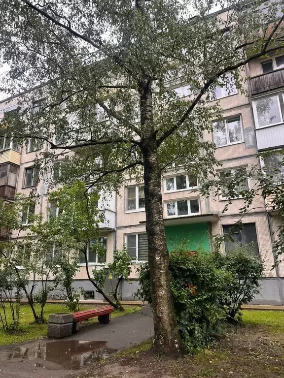 2-к кв. Санкт-Петербург ул. Добровольцев, 6 (41.8 м) - Фото 0