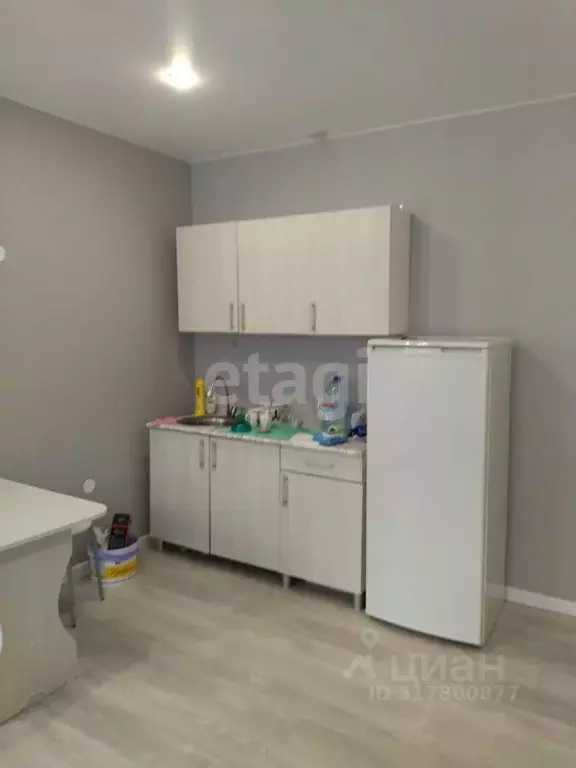 Студия Пермский край, Пермь ул. Елькина, 14 (30.1 м) - Фото 1