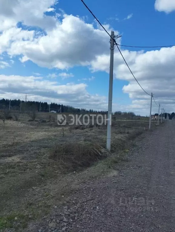 Участок в Ленинградская область, Ломоносовский район, Гостилицкое ... - Фото 1