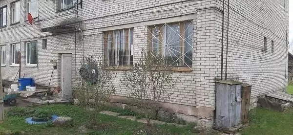 Помещение свободного назначения в Ленинградская область, Сланцевский ... - Фото 0