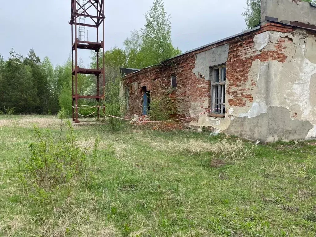Помещение свободного назначения в Мордовия, Ичалковский район, с. . - Фото 0