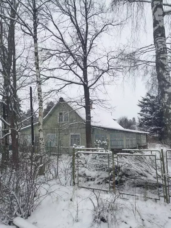 Дом в Санкт-Петербург пос. Песочный, Нижняя ул., 14 (93 м) - Фото 0