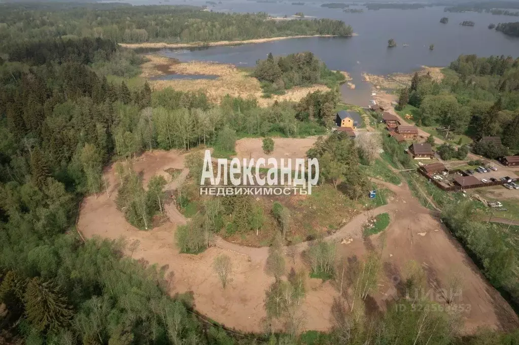 Участок в Ленинградская область, Приозерский район, Ларионовское ... - Фото 1