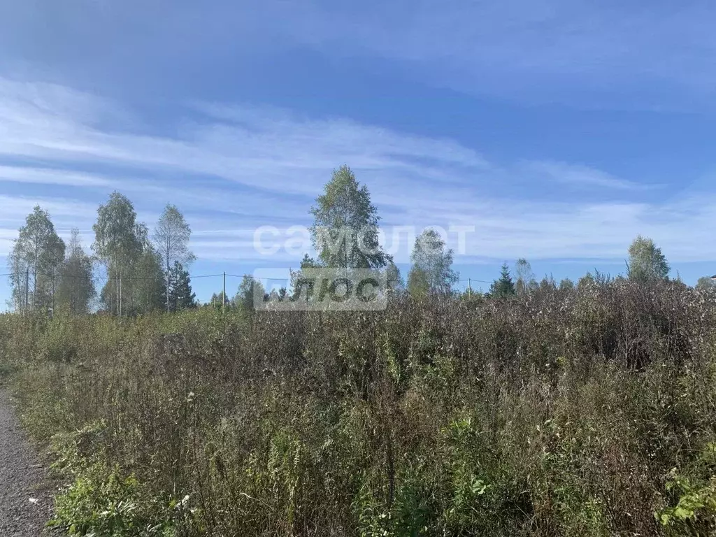 Участок в Московская область, Щелково городской округ, д. Малые ... - Фото 1