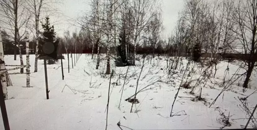 Погода в белозерово одинцовского