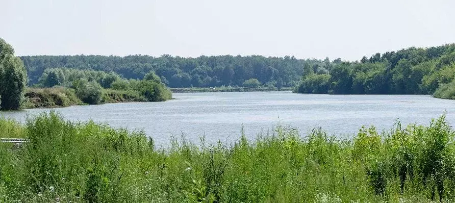 Участок в Татарстан, Лаишевский район, Егорьевское с/пос, д. Кзыл-Иль, ... - Фото 1