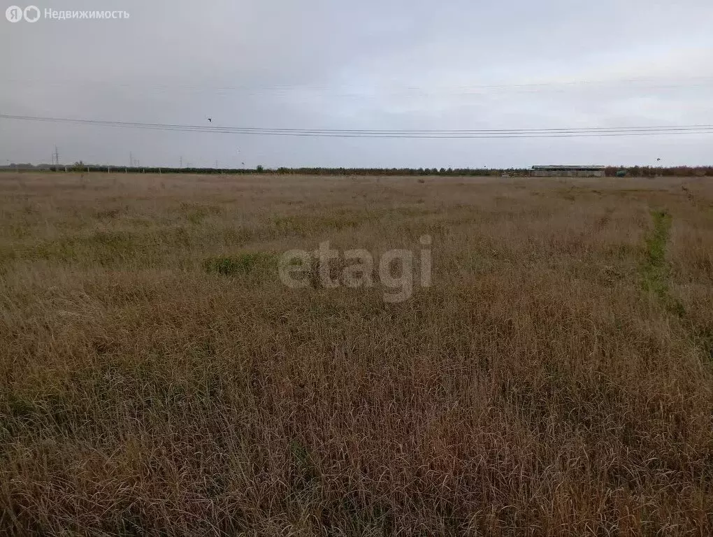 Участок в Журавское сельское поселение, село Тутовка, улица Берекет ... - Фото 0