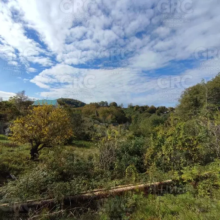 Участок в Краснодарский край, Сочи городской округ, с. Верхнее Буу ул. ... - Фото 1