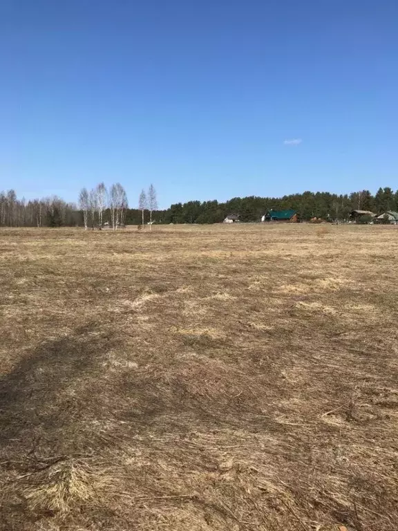 Участок в Ленинградская область, Выборгский район, Рощинское городское ... - Фото 1