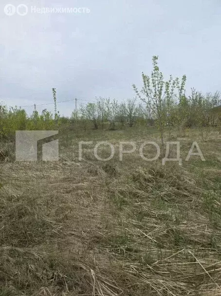 Участок в село Санниково, СНТ Овощевод, Главная улица, 10 (6.4 м) - Фото 1