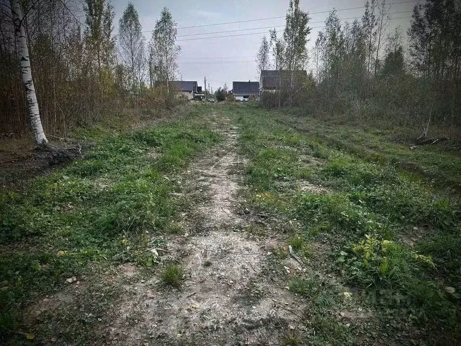 Участок в Новгородская область, Малая Вишера ул. 3-я Парковая, 15 ... - Фото 1