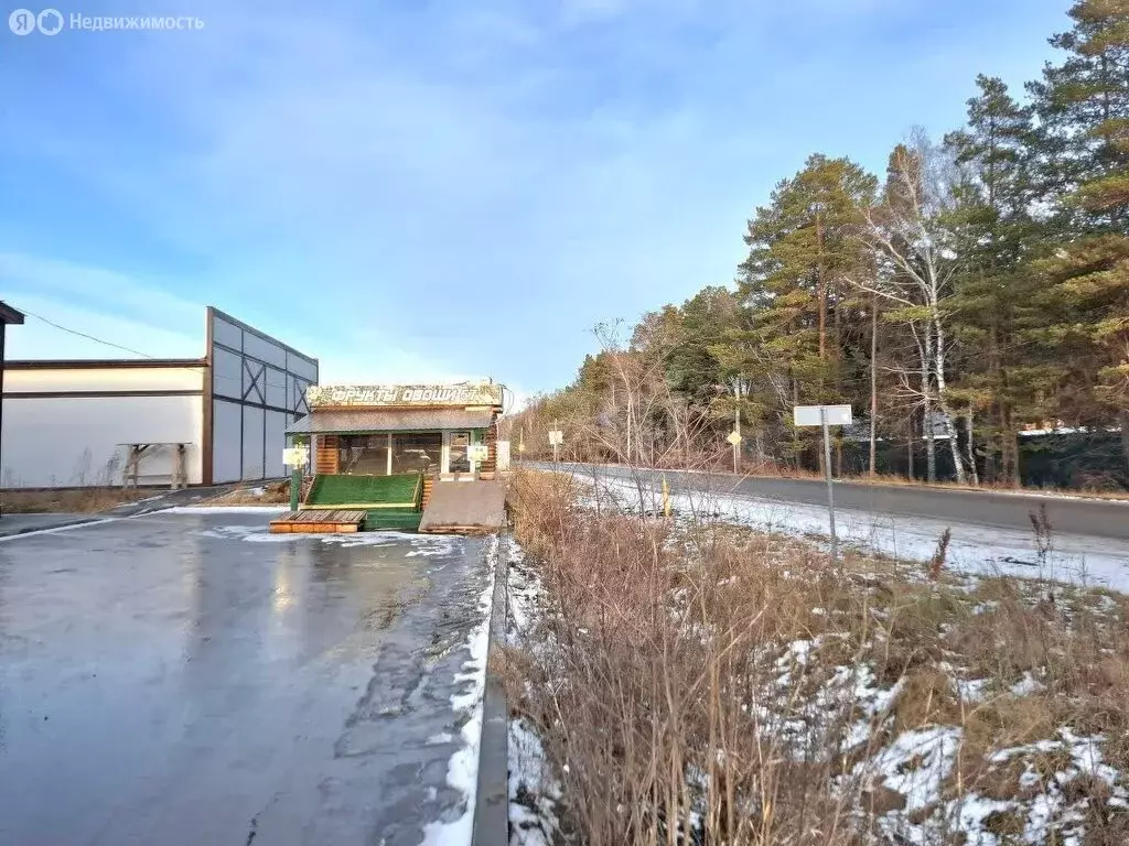 Участок в Тюменский муниципальный округ, село Кулига, Транспортная ... - Фото 2