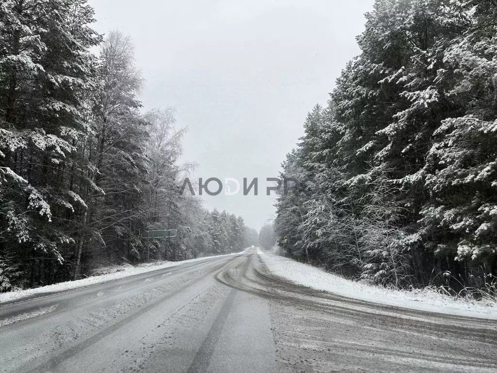 Дом в Ярославская область, Ярославский муниципальный округ, с. Прусово ... - Фото 1