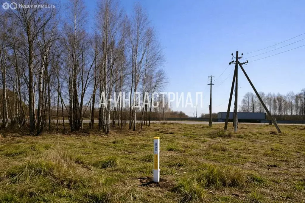 Склад (5 м) - Фото 2