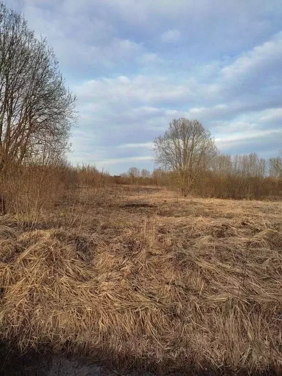 Участок в Новгородская область, Новгородский район, Ермолинское с/пос, ... - Фото 1