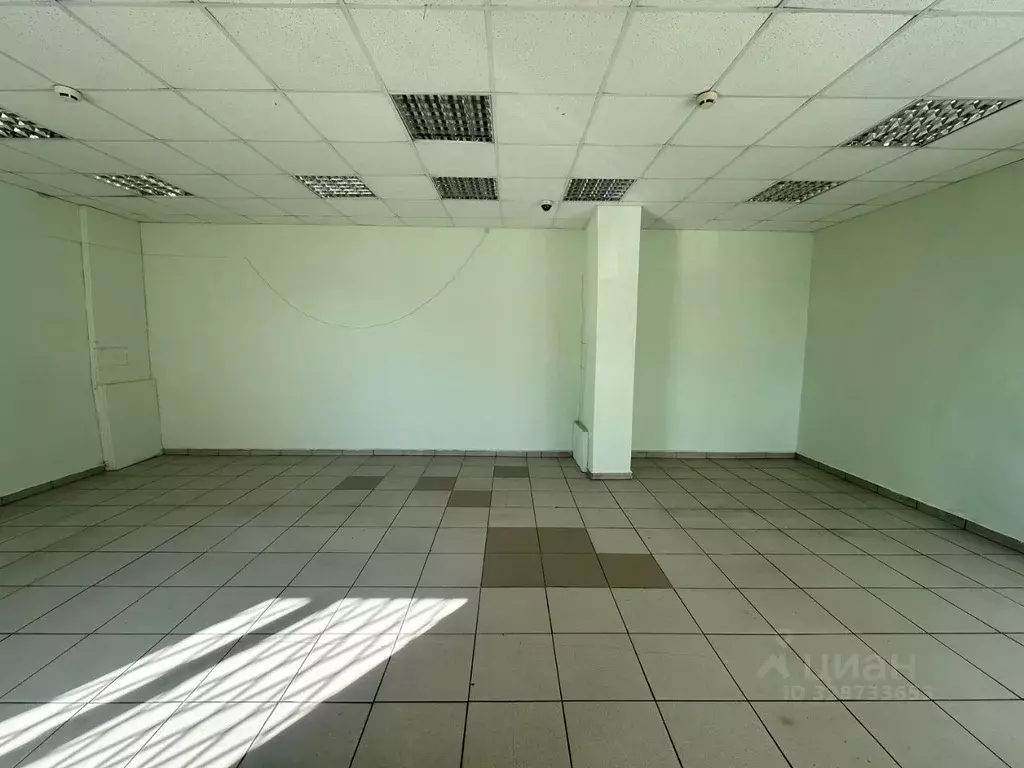 Помещение свободного назначения в Новосибирская область, Новосибирск ... - Фото 2
