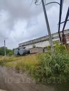 Участок в Московская область, Шатура муниципальный округ, пос. ... - Фото 1