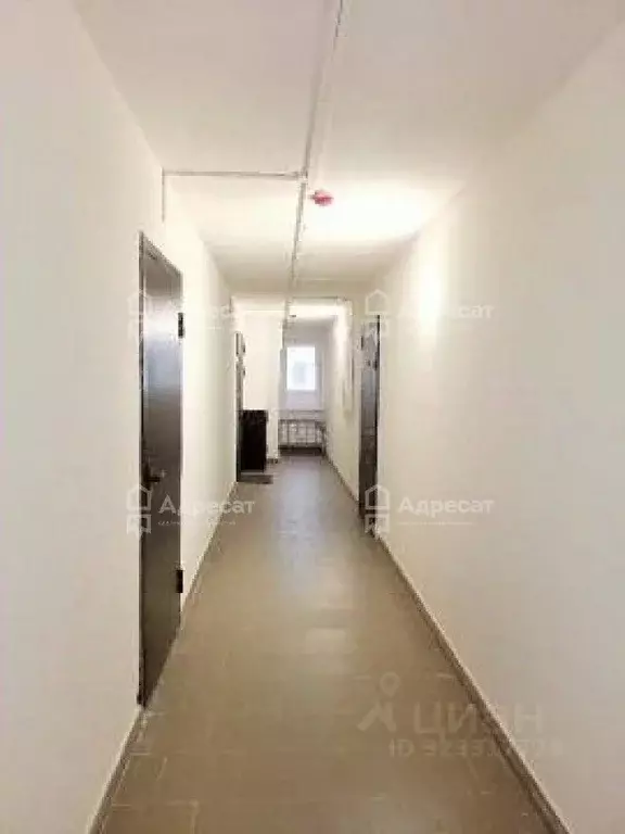 2-к кв. Волгоградская область, Волгоград ул. 70-летия Победы, 27 (44.5 ... - Фото 1