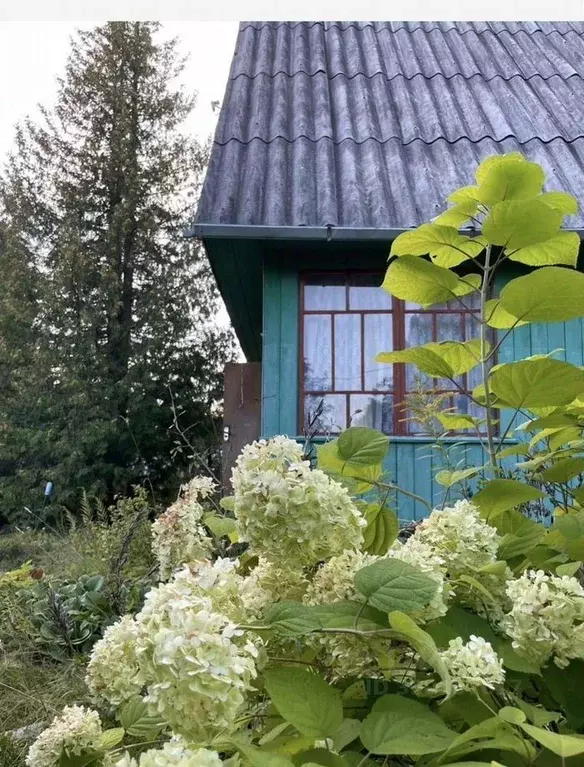 Дом в Ленинградская область, Лужский район, Мшинское с/пос, Дивенская ... - Фото 2