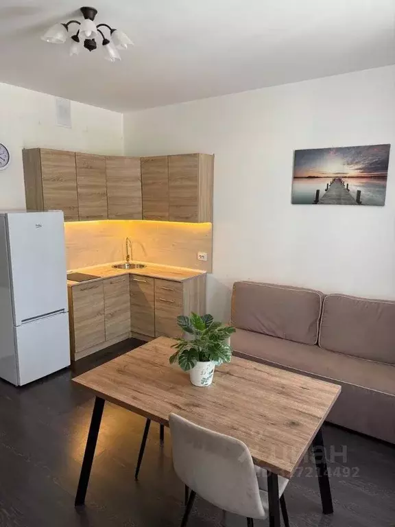 Студия Санкт-Петербург ул. Владимира Пчелинцева, 6к2 (24.1 м) - Фото 1