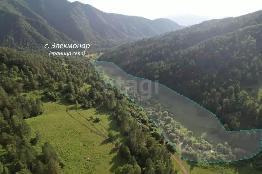 Участок в Алтай, Чемальский район, Элекмонарское с/пос, с. Элекмонар ... - Фото 1