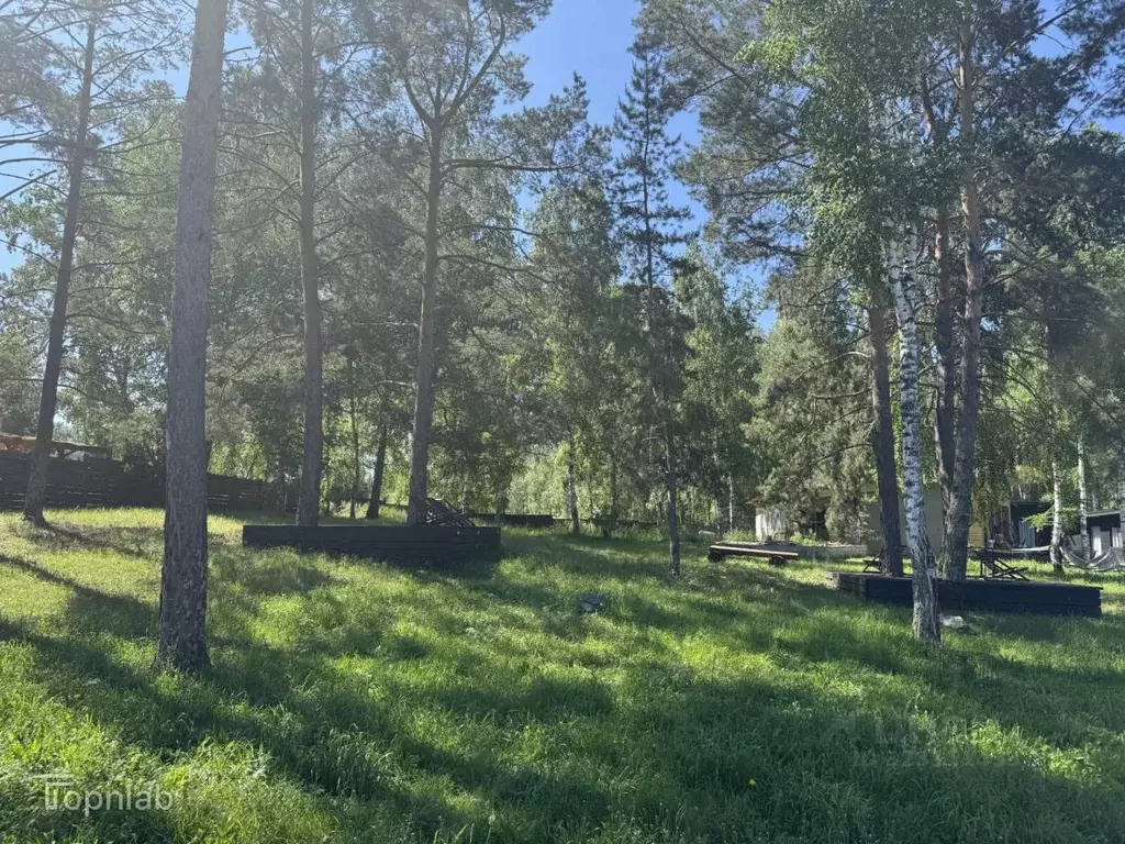 Участок в Алтай, Чемальский район, с. Чемал ул. Кедровая, 6Е (25.19 ... - Фото 2