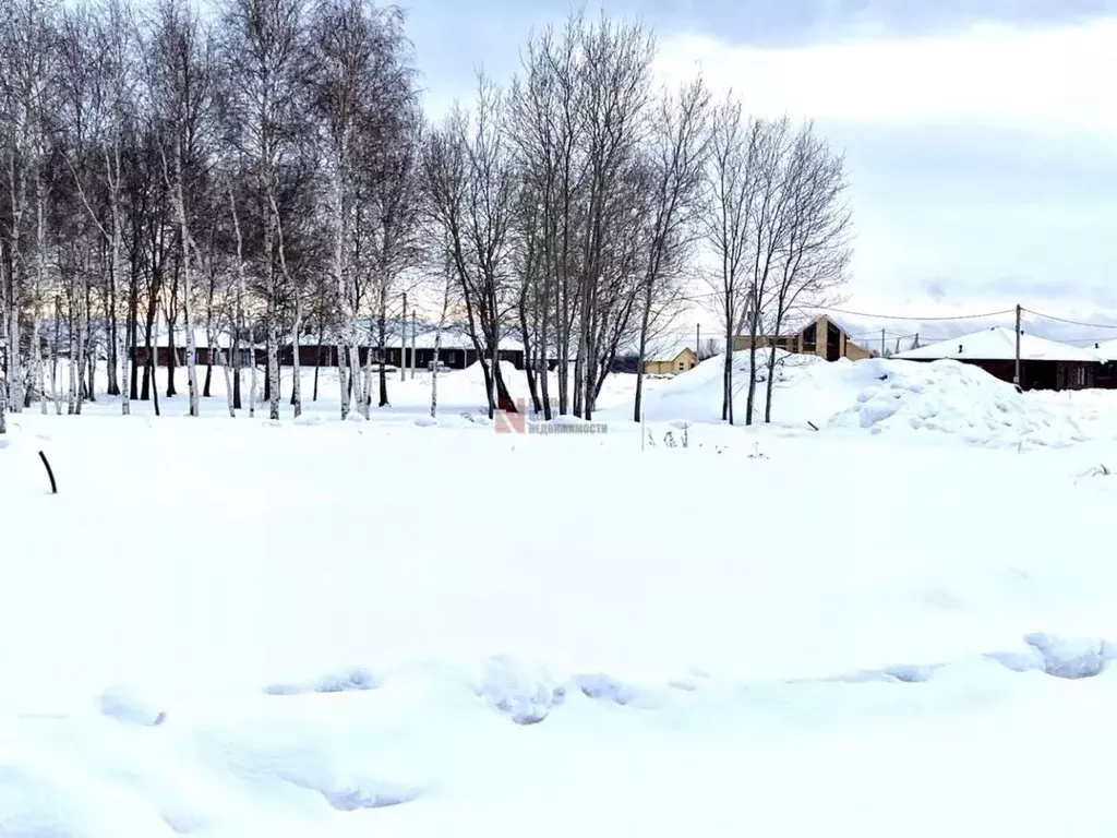 Участок в Тюменская область, Тюменский район, с. Червишево Школьная ... - Фото 0