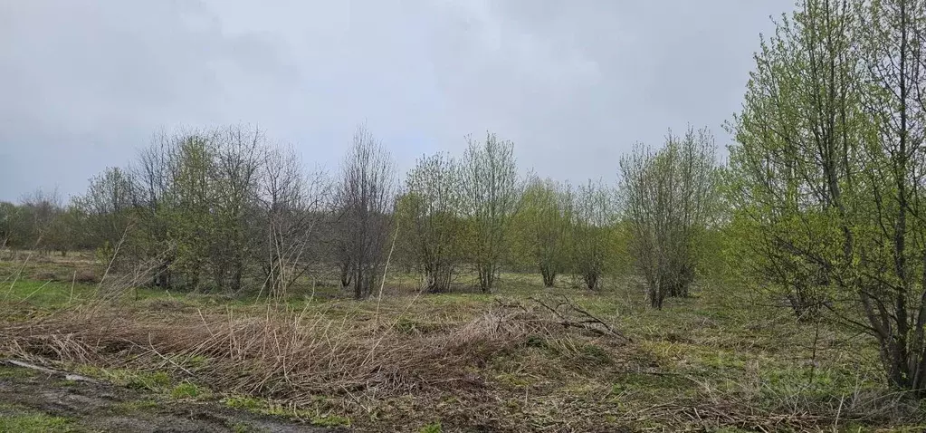Участок в Московская область, Луховицы муниципальный округ, с. ... - Фото 1