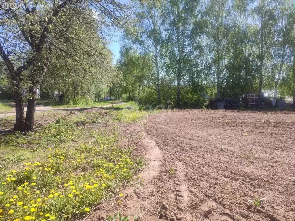 Участок в Нижегородская область, городской округ Арзамас, село Чернуха ... - Фото 1