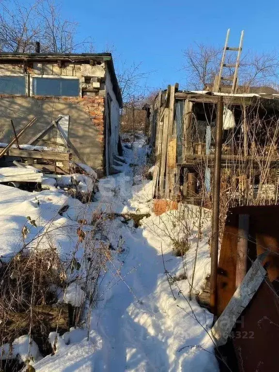 Участок в Новосибирская область, Новосибирск Цветущая Плющиха садовое ... - Фото 1