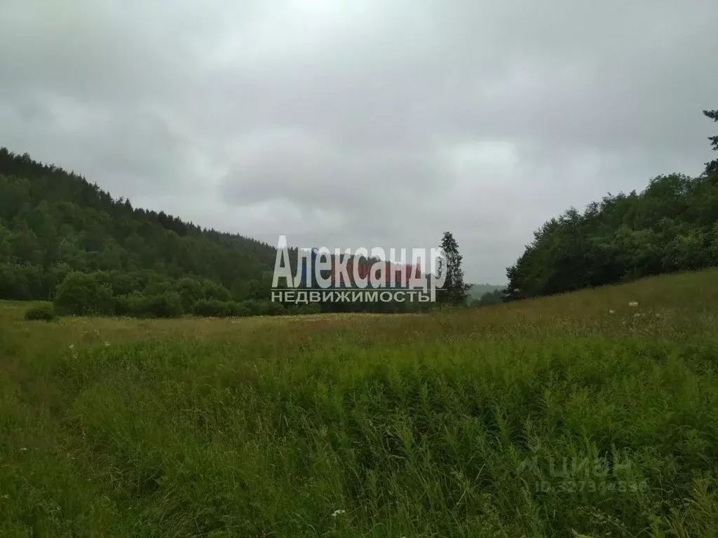 Участок в Карелия, Лахденпохский муниципальный округ, пос. Микли  ... - Фото 2