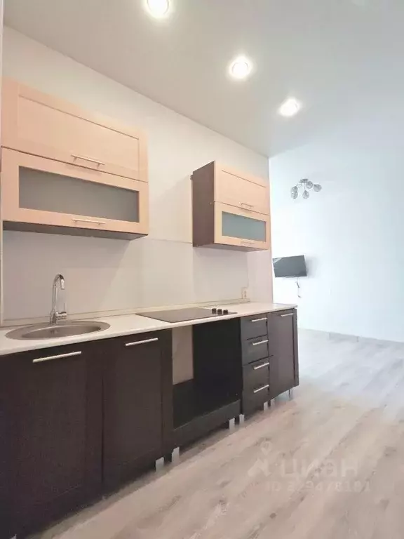 Студия Москва пос. Первомайское, ул. Центральная, 10 (26.0 м) - Фото 1