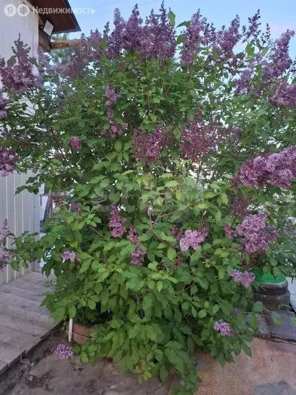 Дом в Якутск, Хатын-Юряхское шоссе, 6-й километр (100 м) - Фото 1