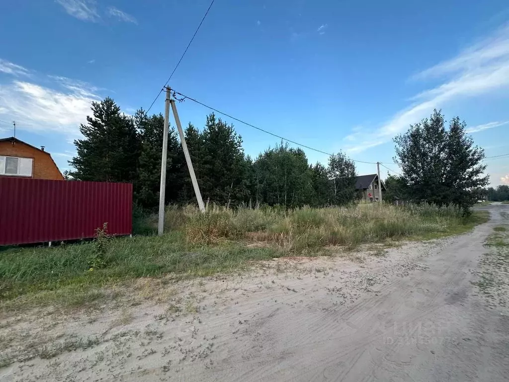 Участок в Курганская область, Кетовский муниципальный округ, д. Белый ... - Фото 0