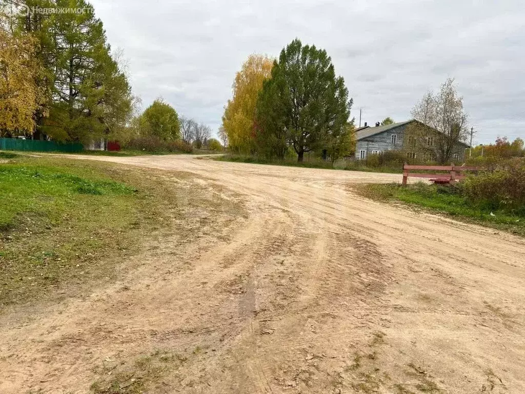 Участок в Вологодская область, Тарногский муниципальный округ, деревня ... - Фото 1