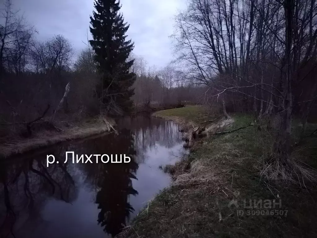 Участок в Вологодская область, Усть-Кубинский муниципальный округ, д. ... - Фото 0