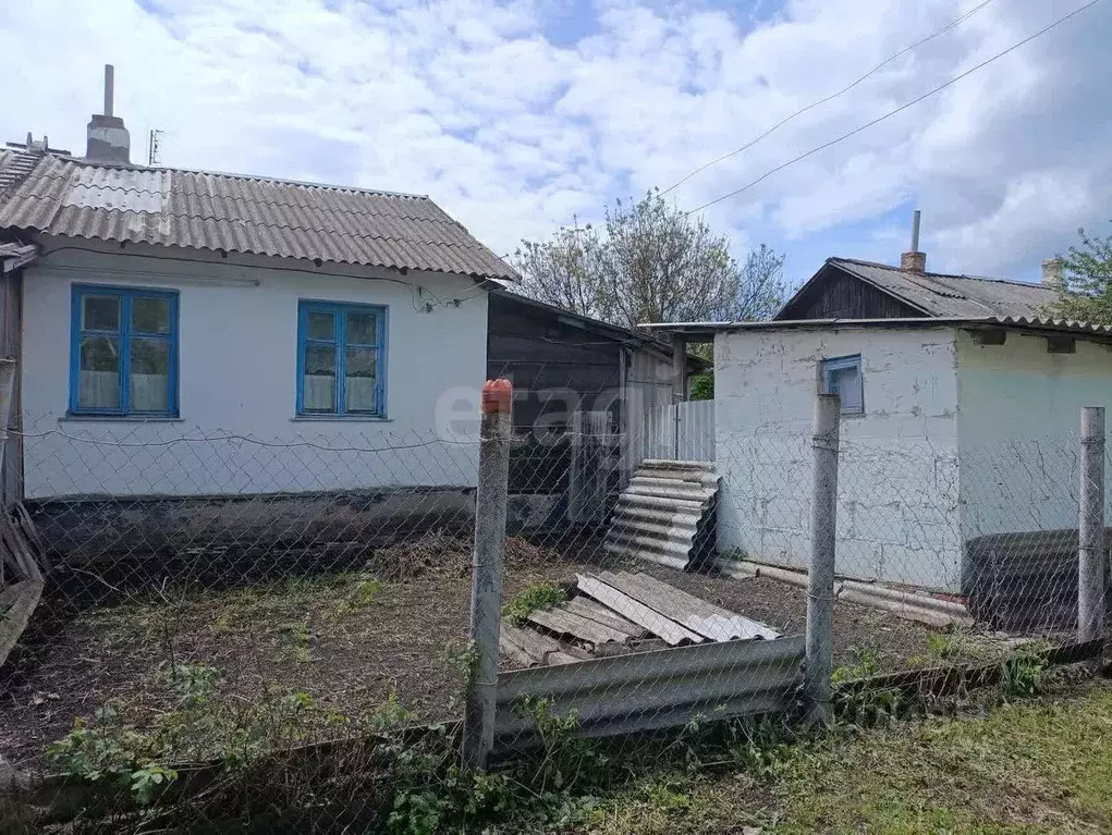 Дом в Белгородская область, Вейделевский район, Солонцинское с/пос, ... - Фото 1