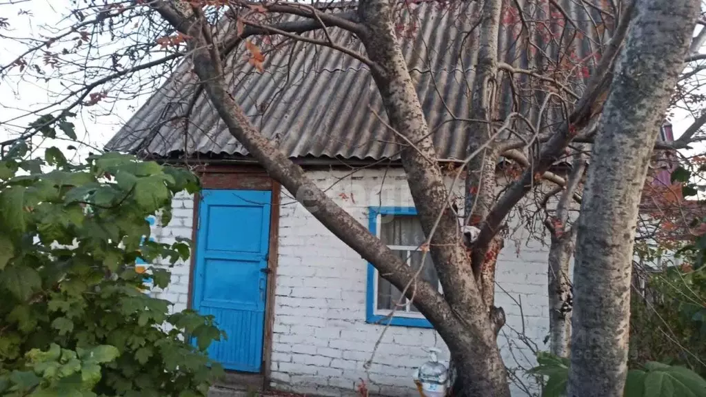 Дом в Новосибирская область, Бердск Дружба садоводческое товарищество, ... - Фото 1
