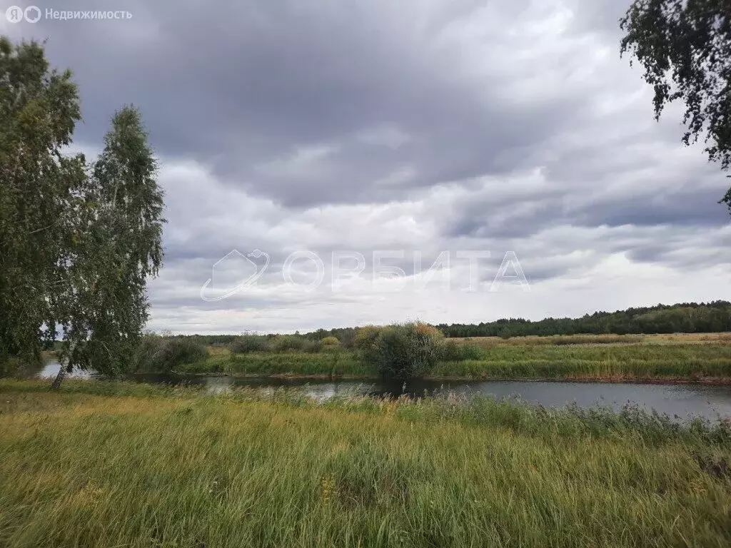 Участок в Курганская область, Куртамышский муниципальный округ, село ... - Фото 0