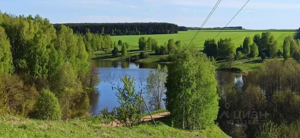 Участок в Нижегородская область, Богородский муниципальный округ, д. ... - Фото 0