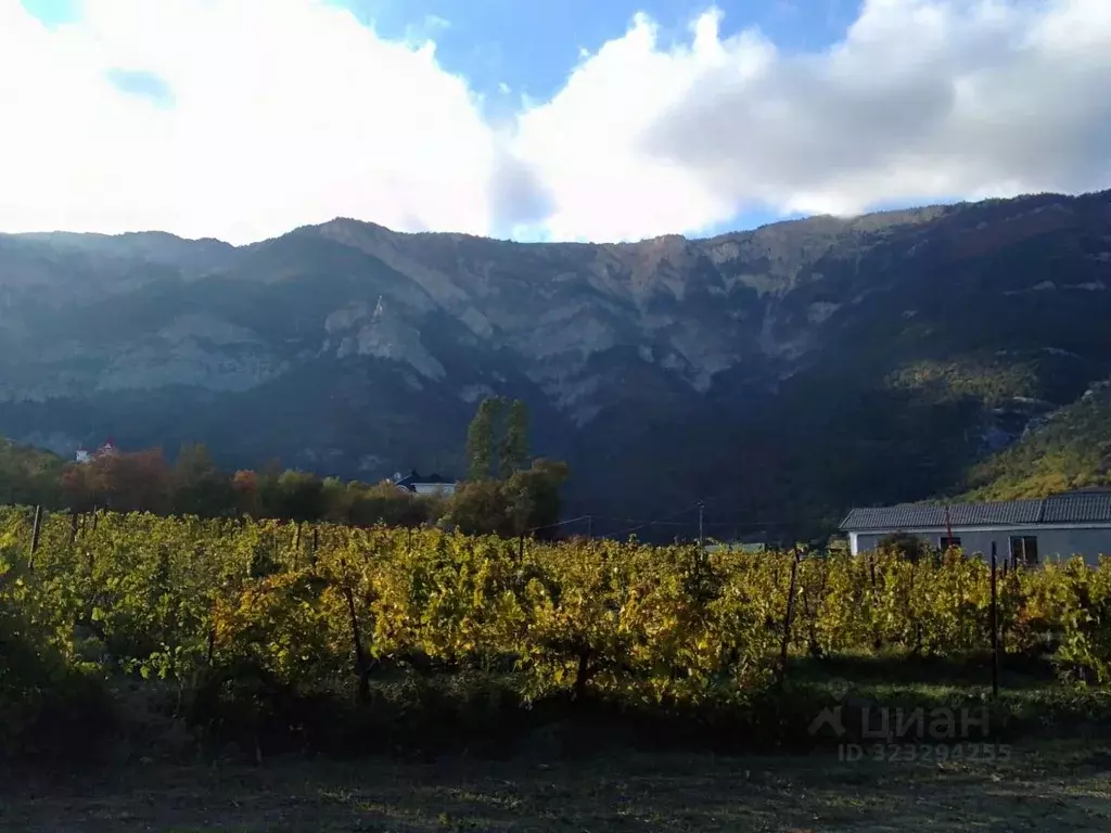 Участок в Крым, Ялта муниципальный округ, Виноградное пгт ул. Красина ... - Фото 2