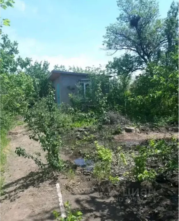Участок в Астраханская область, Астрахань Артемовец СНТ, 105 (10.1 ... - Фото 1