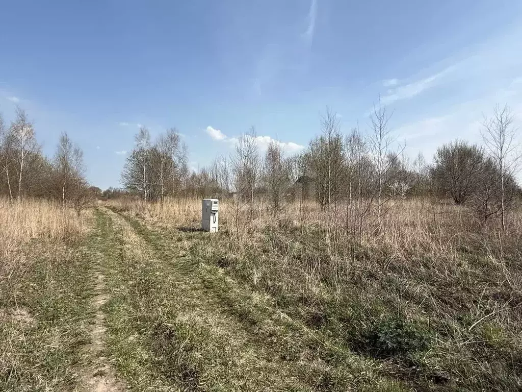 Участок в Калининградская область, Зеленоградск ул. Величавая (6.0 ... - Фото 0