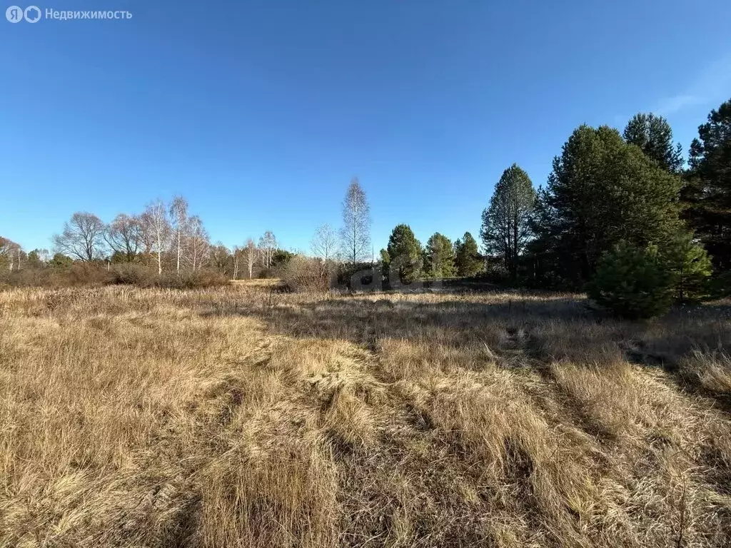 Участок в Бессоновский район, посёлок Подлесный, КП Лесное озеро (6.58 ... - Фото 1