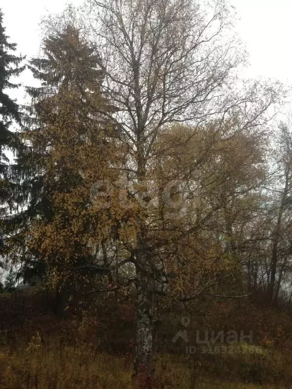 Участок в Московская область, Одинцовский городской округ, д. Хаустово ... - Фото 1