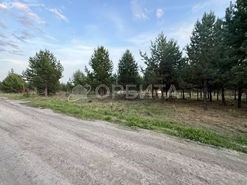 Участок в Тюменский муниципальный округ, деревня Елань, Васильковая ... - Фото 0