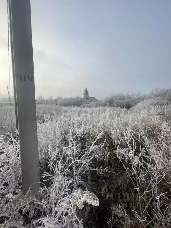 Участок в Ульяновская область, Ульяновск городской округ, с. Отрада  ... - Фото 0